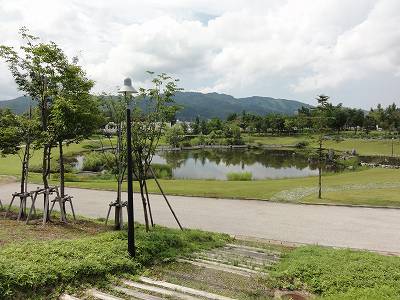 八色の森公園の夏_a0084753_15501096.jpg