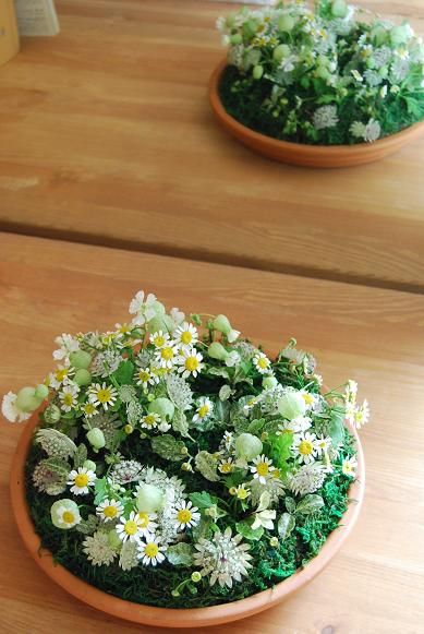 5月、6月の花遊びレッスン_a0201358_20134091.jpg
