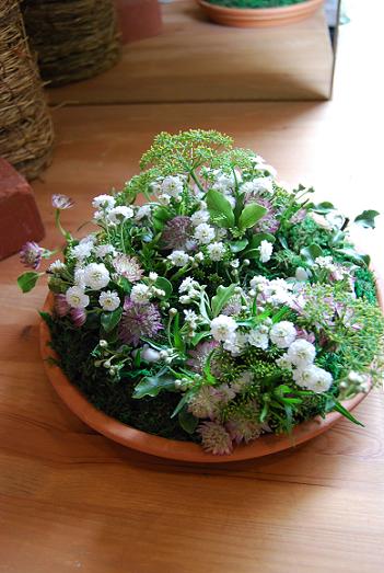 5月、6月の花遊びレッスン_a0201358_2014815.jpg