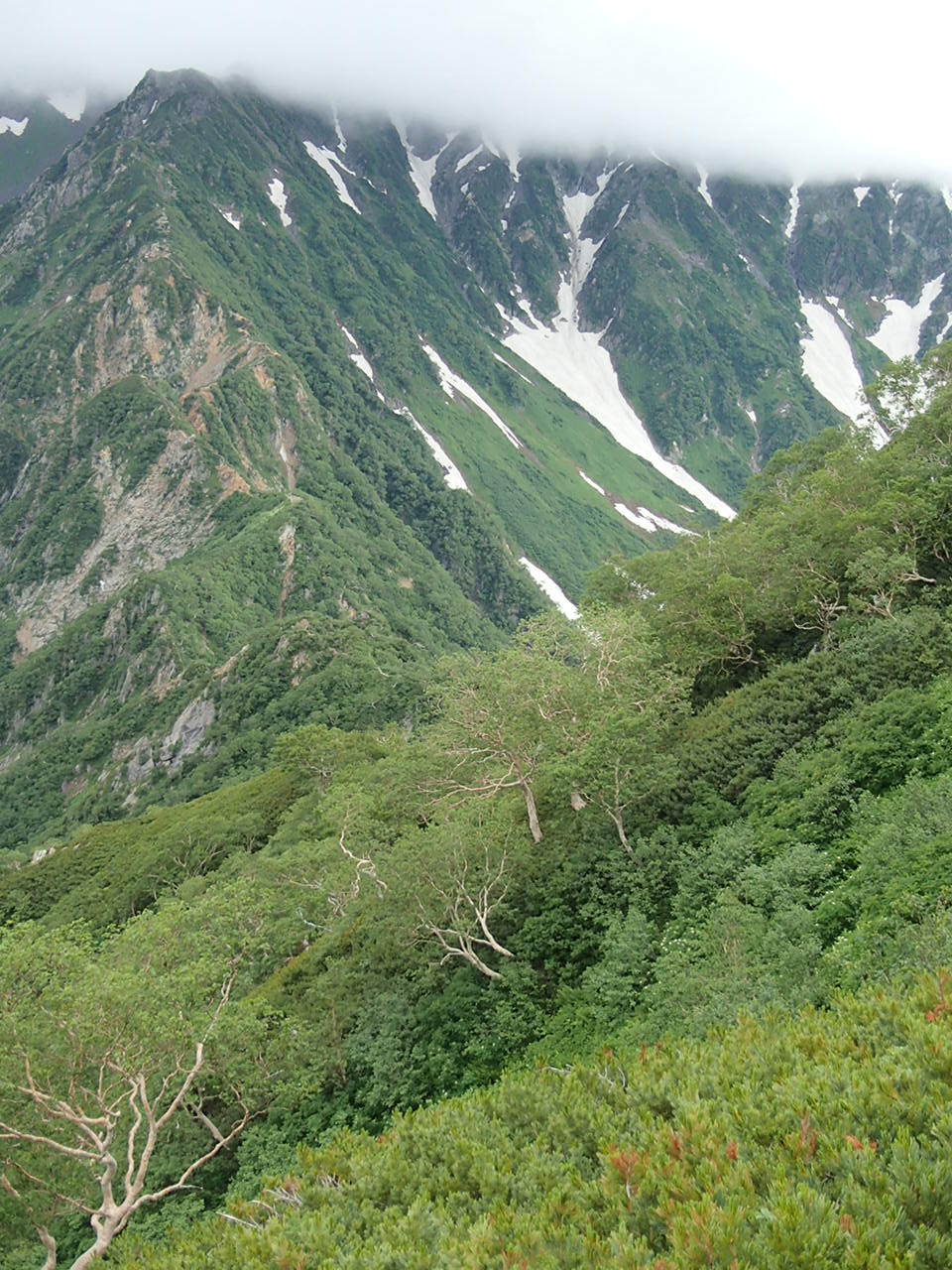 b0276758_1272218.jpg
