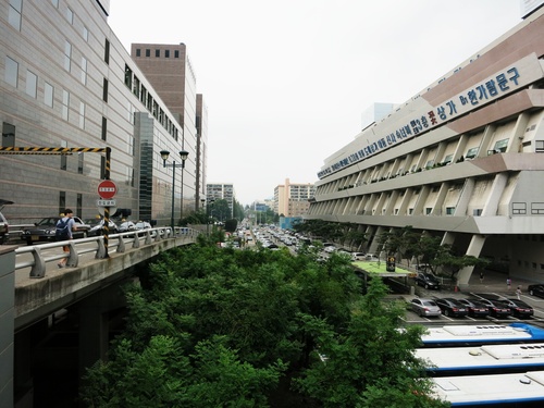 ７月ソウル旅 ⑭高速バスターミナル・花市場❤造花編_f0236260_23244950.jpg