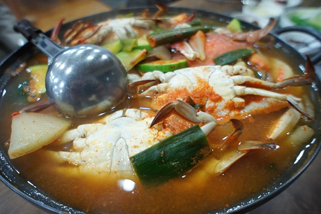 韓国出張 韓方農業編_b0060363_0185715.jpg