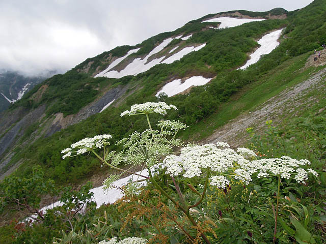 f0199866_23312383.jpg