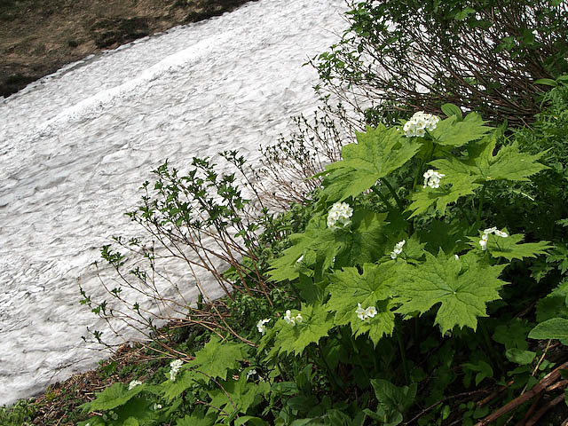 f0199866_23324217.jpg