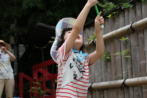 d0191377_059569.jpg