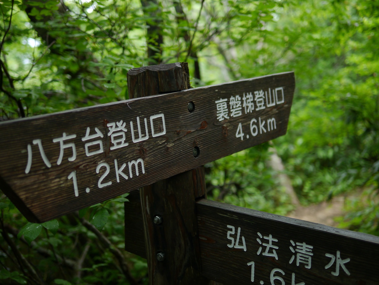 初登山（磐梯山）_e0167780_211737.jpg