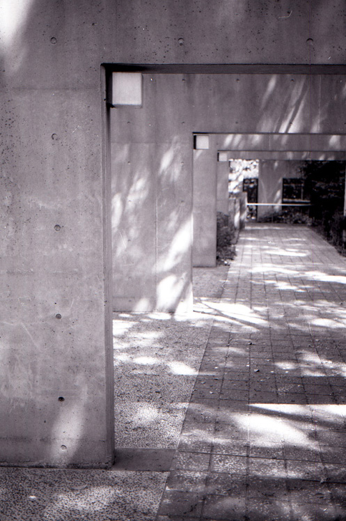 b0144082_10352.jpg