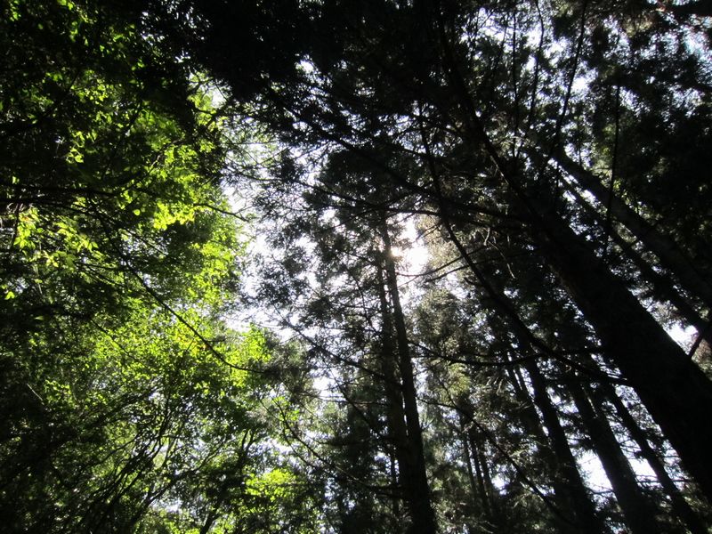 f0053885_26612.jpg