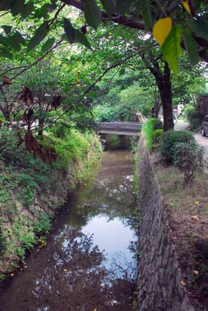 d0085887_2142480.jpg