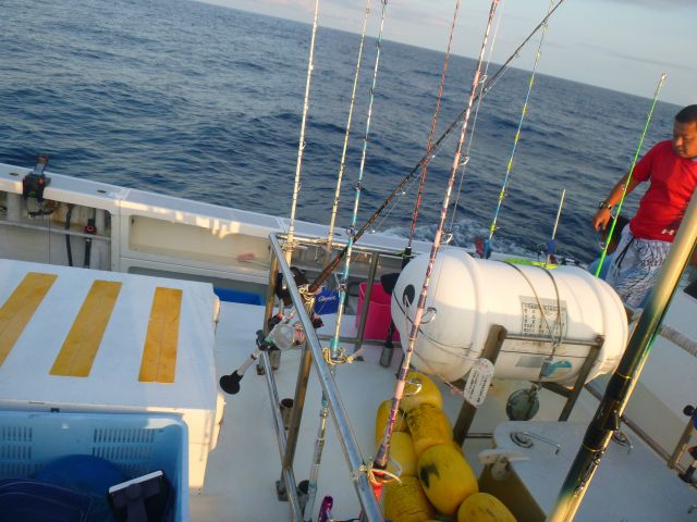 a0133388_10524090.jpg
