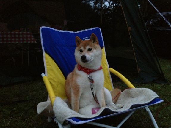 戸隠の夜_a0126590_2034912.jpg