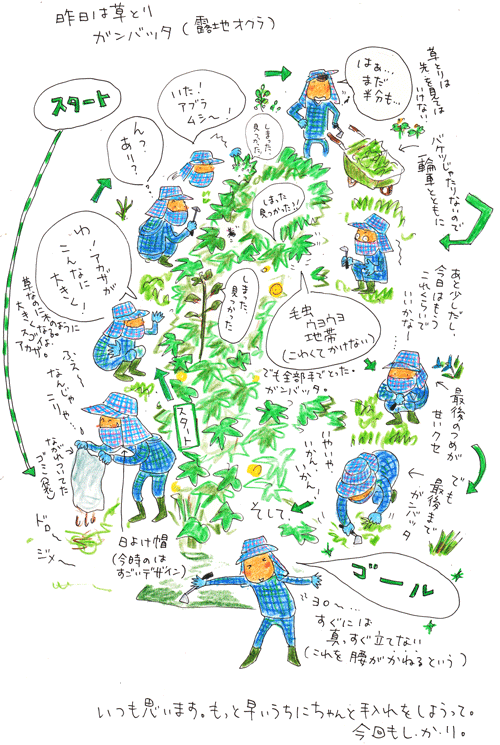 草取り問答_f0236291_936283.gif