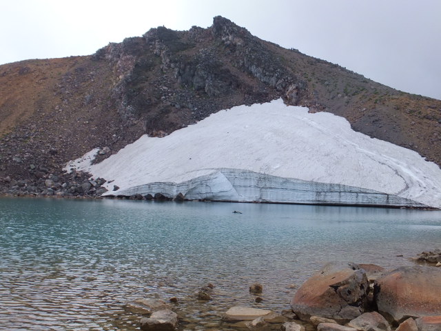 a0271502_15525593.jpg