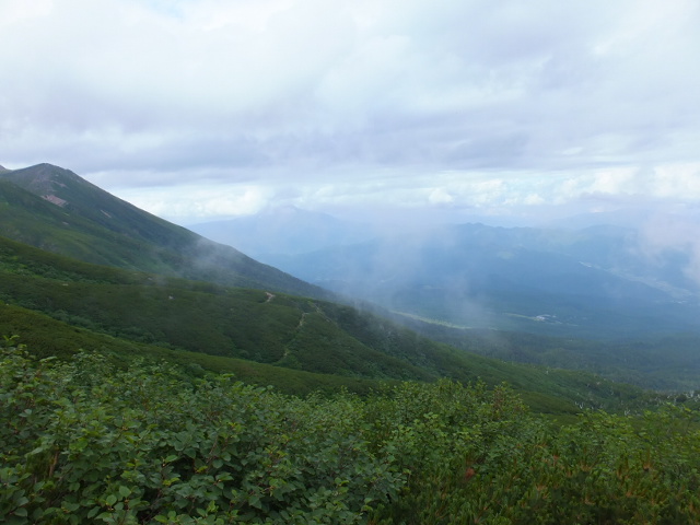 a0271502_16204512.jpg