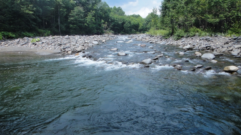 d0051707_21331751.jpg