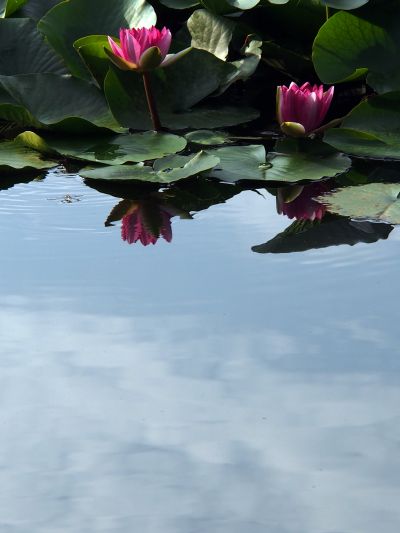 c0156908_23504967.jpg
