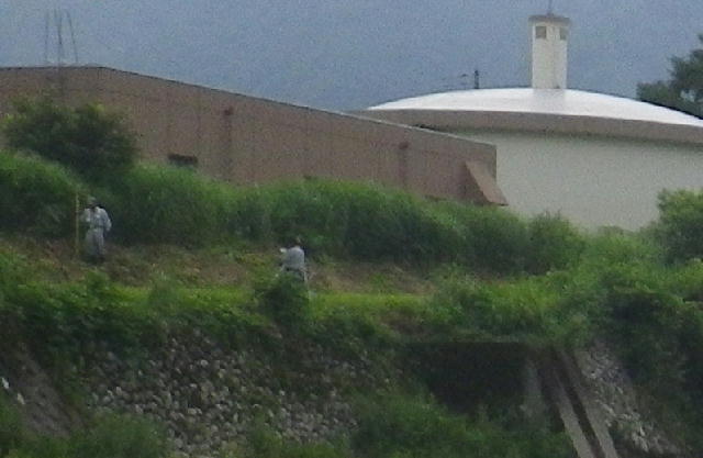 b0172209_85593.jpg