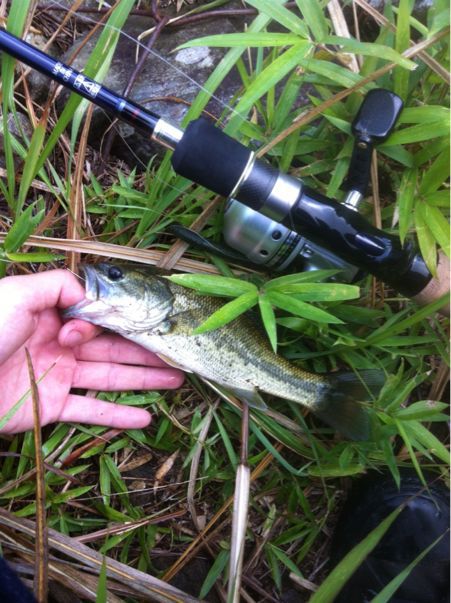 8 5雨山ダム釣行 バス釣り初心者がスピンキャストリールをかっこいいという理由だけで使い倒す