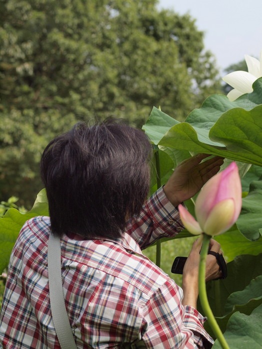 蓮田などを案内_c0116915_23222122.jpg