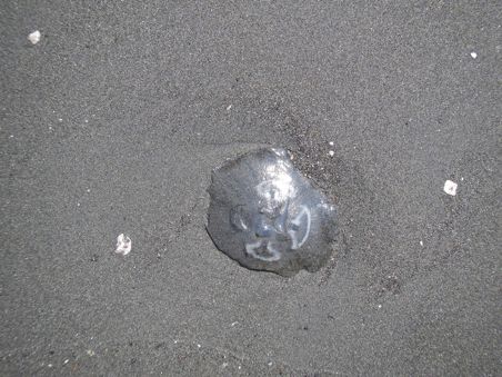 e0171821_15161684.jpg