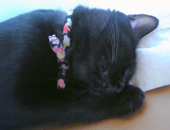 c0280322_14455011.jpg