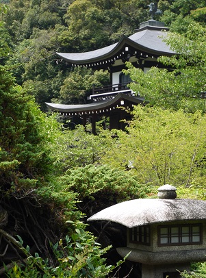 夏の花満開　　　～　勧修寺　（京都）　～_c0235725_15122415.jpg