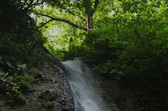 c0093046_22253959.jpg