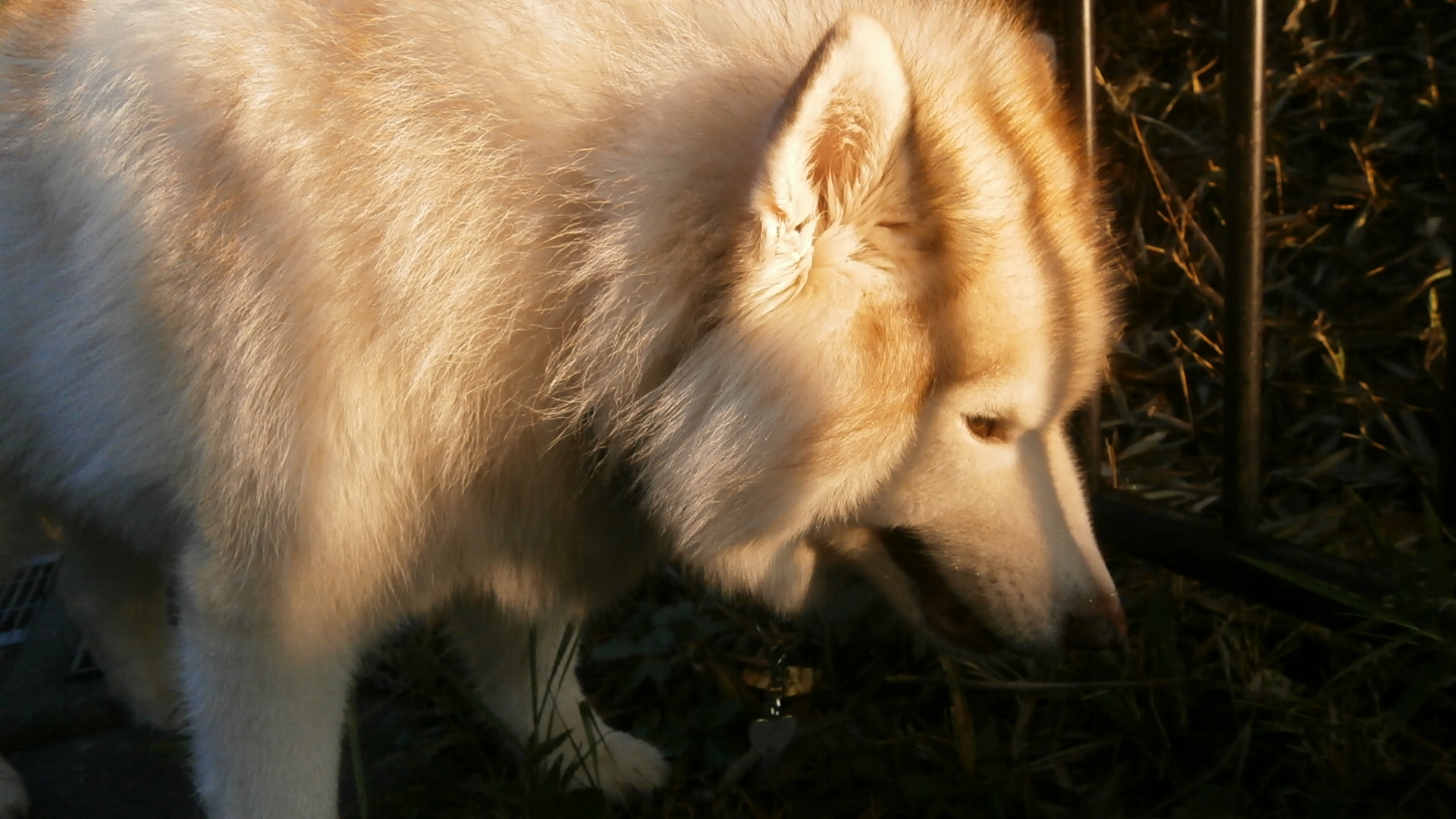 e0121548_11211331.jpg