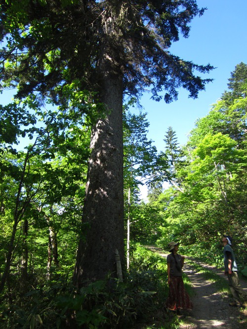 b0160957_8523248.jpg