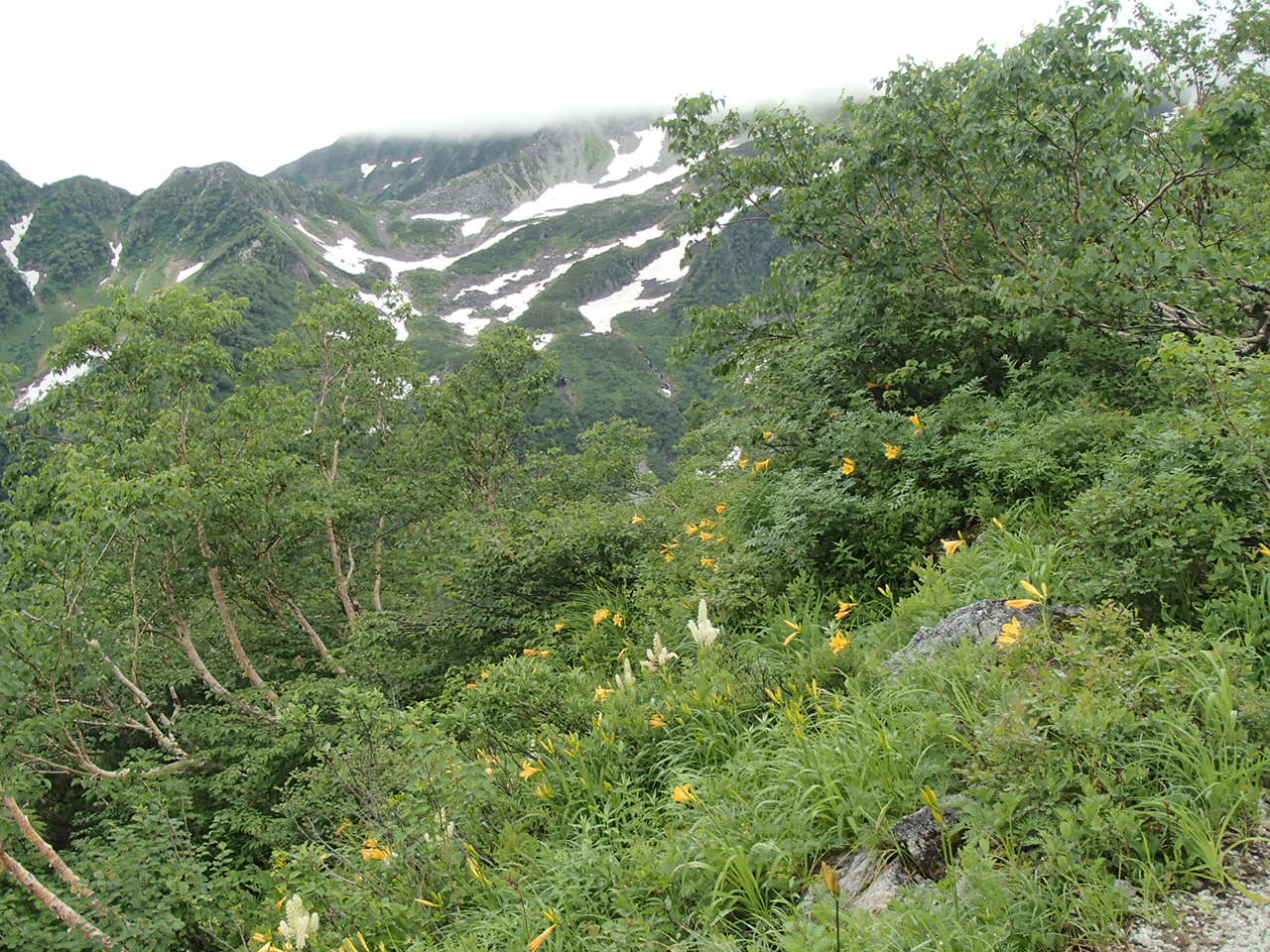 b0276758_1055157.jpg