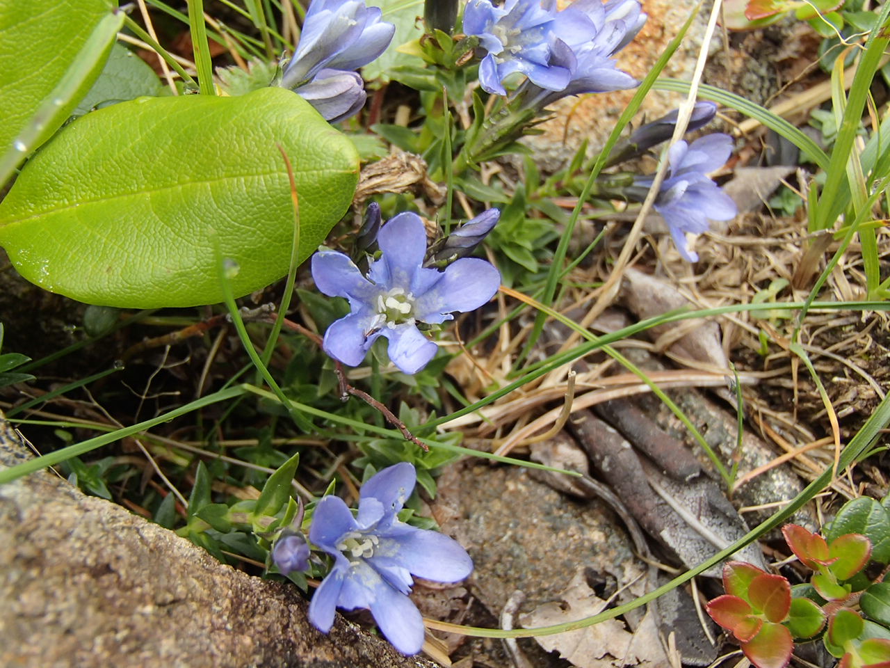 b0276758_15515927.jpg