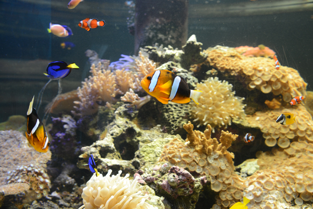 名古屋港水族館_e0171573_0194740.jpg