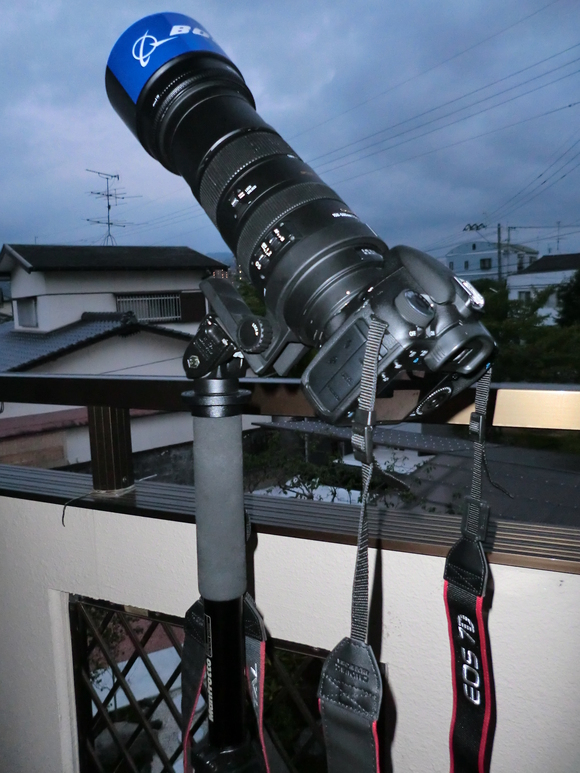 a0299975_19221083.jpg