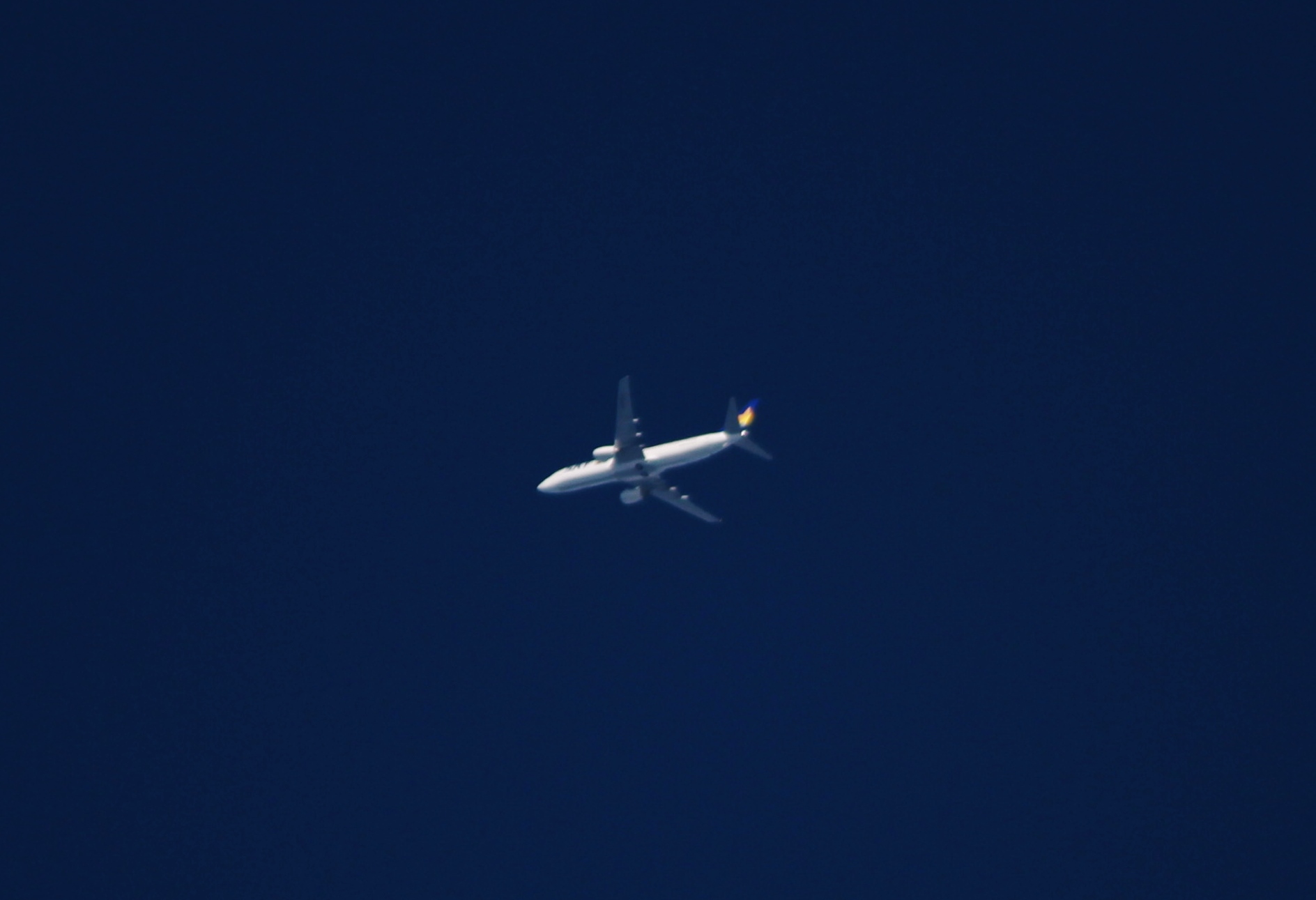 a0299975_19272777.jpg