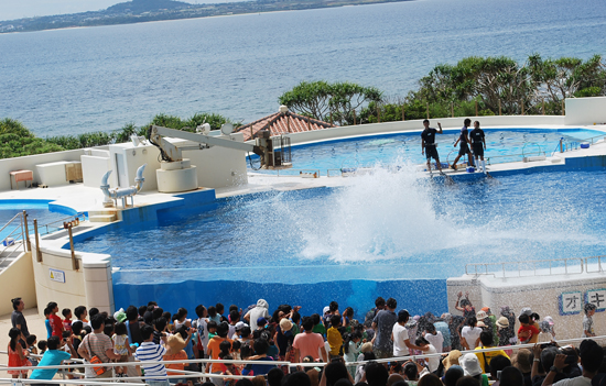 ロン友来たる〜水族館編〜_e0192175_2213066.jpg