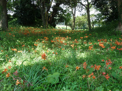 c0152779_130466.jpg