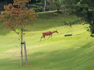 e0288784_15575938.jpg