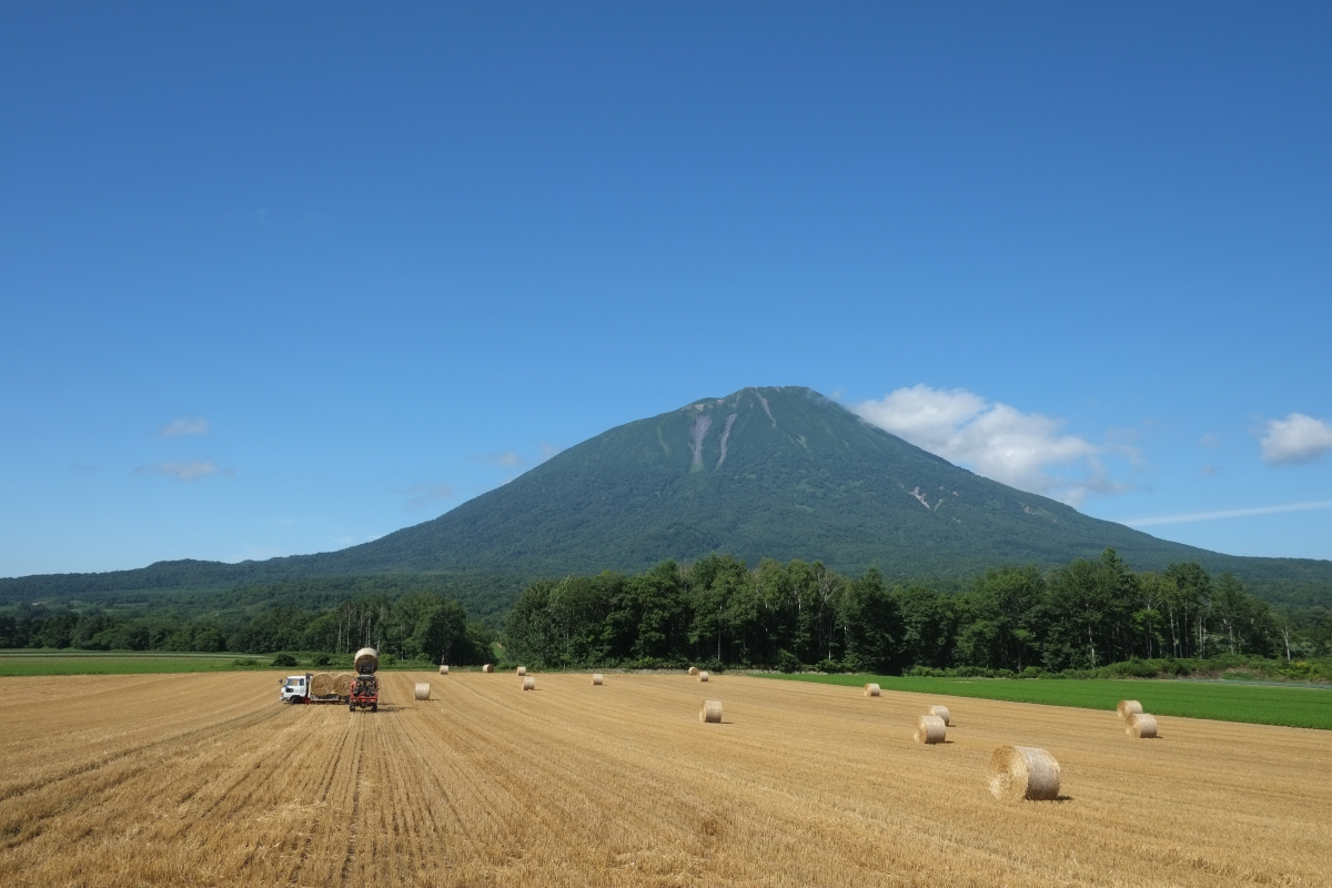 後方羊蹄山 with tractor_e0051186_2038182.jpg