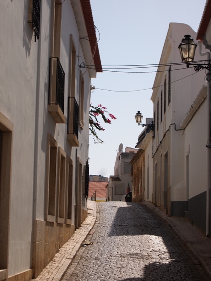 c0132488_21406.jpg