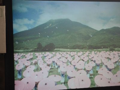 八重の桜、オープニングのシーン_a0096989_17213748.jpg