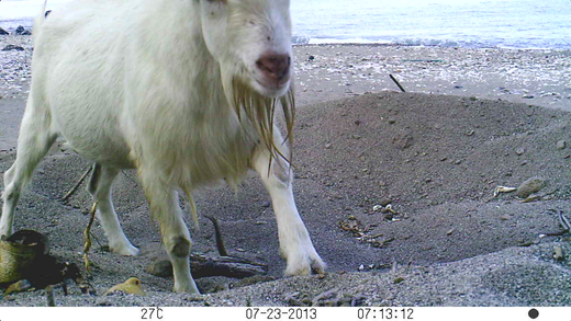 a0010095_041080.png