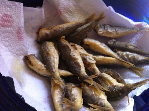 お魚ランチ_f0106597_313964.jpg