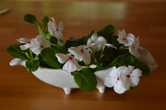 c0124100_2222241.jpg