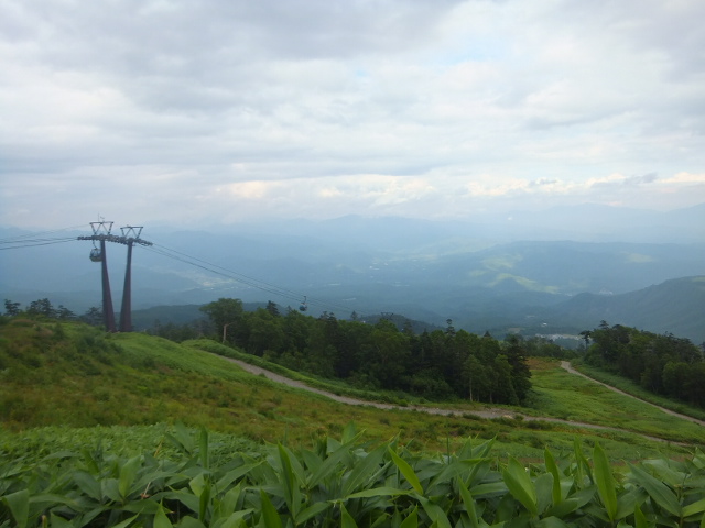 a0271502_1625682.jpg