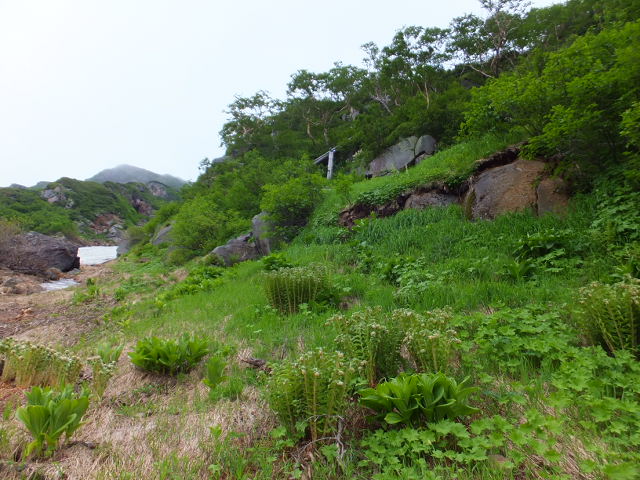 a0271502_1950337.jpg