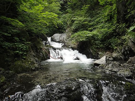 b0172805_0321176.jpg