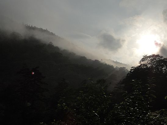 b0172805_1111887.jpg