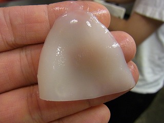 鹿児島の新イカ!_f0157910_1349593.jpg