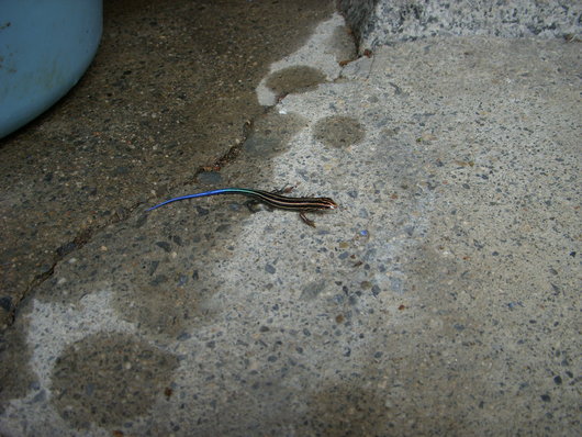 f0260120_22395452.jpg