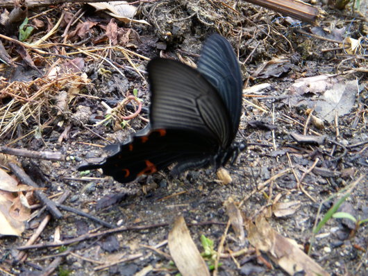 f0260120_22425856.jpg
